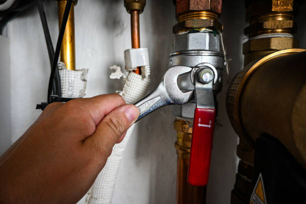 Best Clogged Drain Plumber  in Blue Island, IL